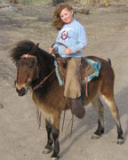 Custom Leather Horse Bridles
